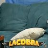 sillon.cobra_