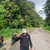 alfahrizikaesang