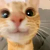 kateeeeeeee50