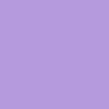 pan.seeh.13