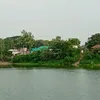 alaminhossain2429
