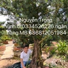 vinh68682