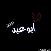 hyn_h2