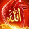 nazmawaseem316