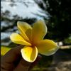 kertasputihhhh