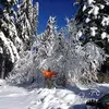 lariatanasov