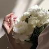ao_fi20
