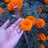 user8125754198728