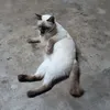 usereyewc7qe0w