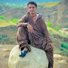 sheikhnabeel230