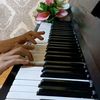 pianosema