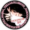 gungar25