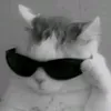 itsn3il10