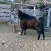aydin_0180