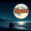 npaxi14