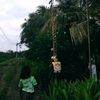 yuayuayauuuayuuu23
