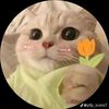 user00012345677889