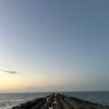 albert_072828