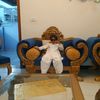 chmuhib0512