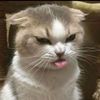 ayshaarrr