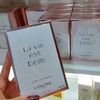 perfumeriad_r.cr