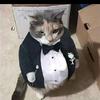 tuxedocat._0