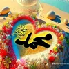 user79s8lclfwl