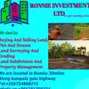 ronnieinvestmentltd