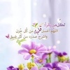 aseel__306