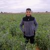 yousef.shahen2