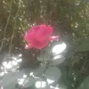 userhmnhcd6yex