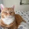 huhwhatyousay6