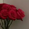 a11mna6
