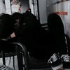 ari_depari9