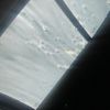 yesssitsmee2