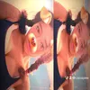 cassipiee
