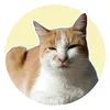 unes_tiktocat