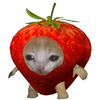 massielf3r_