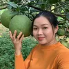 xuannhi.dn
