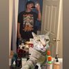 reversepsychology00