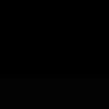 castro_noe.5