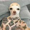 phquctoan