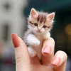 lamthien_jz