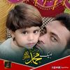 sajidhussain0634