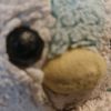 catdjxn_8263