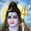 tyhealgovender