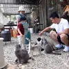 tuanusshop
