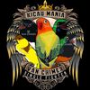 mediakicaumania
