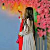 habibaahmad947