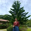 piedammac